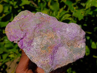 Natural Stichtite Cobbed Specimens x 4 From Barberton, South Africa