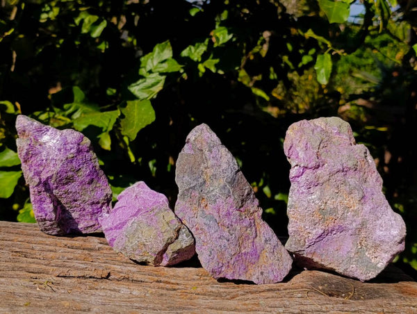Natural Stichtite Cobbed Specimens x 4 From Barberton, South Africa