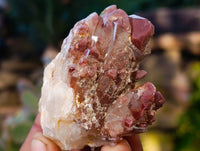 Natural Red Hematoid Quartz Clusters x 12 From Karoi, Zimbabwe