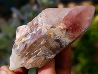 Natural Red Hematoid Quartz Clusters x 12 From Karoi, Zimbabwe