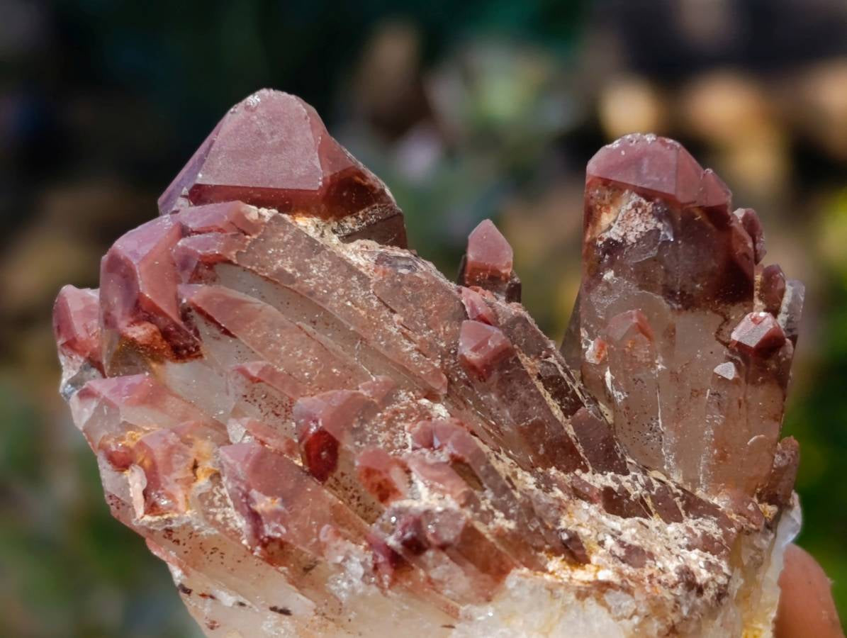 Natural Red Hematoid Quartz Clusters x 12 From Karoi, Zimbabwe - Toprock Gemstones and Minerals 