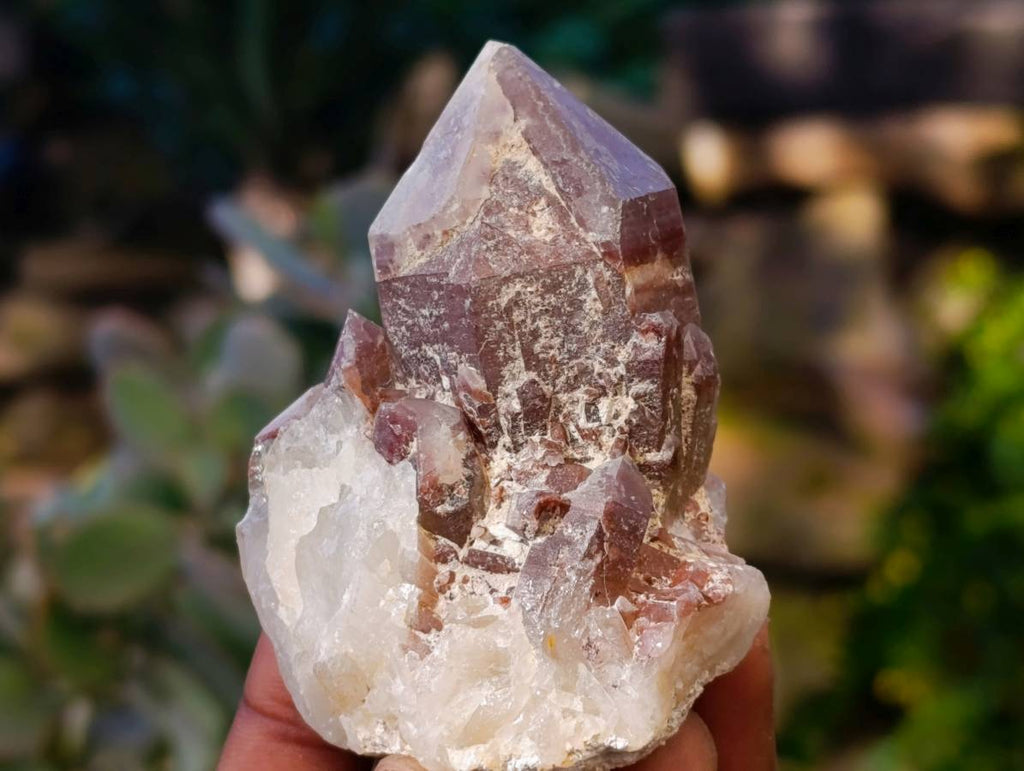 Natural Red Hematoid Quartz Clusters x 12 From Karoi, Zimbabwe - Toprock Gemstones and Minerals 