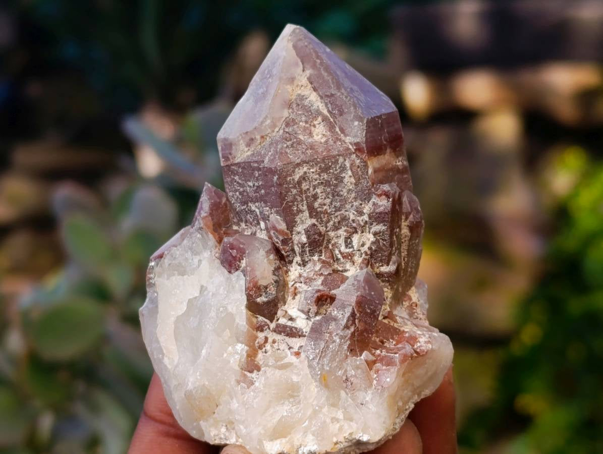 Natural Red Hematoid Quartz Clusters x 12 From Karoi, Zimbabwe - Toprock Gemstones and Minerals 