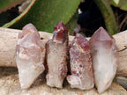 Natural Red Hematoid Quartz Clusters x 12 From Karoi, Zimbabwe - Toprock Gemstones and Minerals 