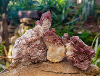 Natural Red Hematoid Quartz Clusters x 12 From Karoi, Zimbabwe