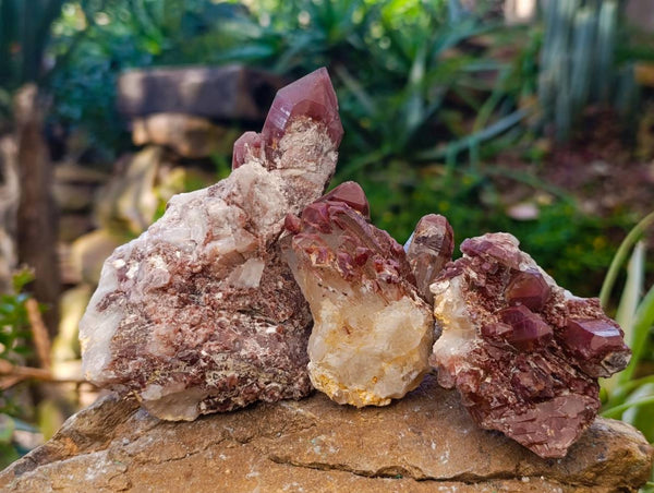 Natural Red Hematoid Quartz Clusters x 12 From Karoi, Zimbabwe