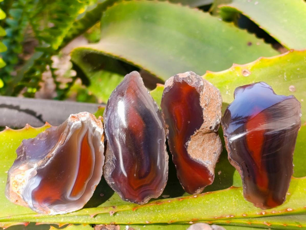 Polished On One Side Red Sashe River Agate Nodules x 20 From Zimbabwe - Toprock Gemstones and Minerals 
