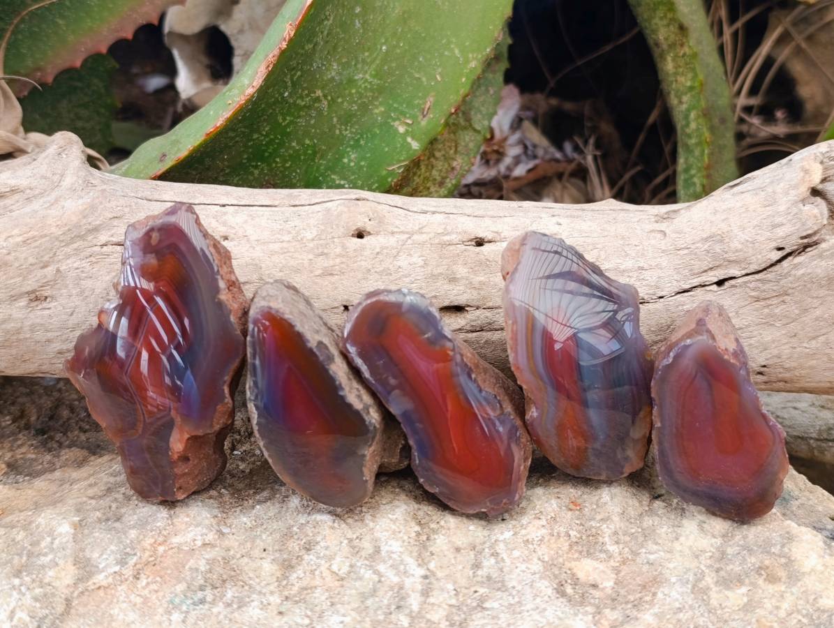 Polished On One Side Red Sashe River Agate Nodules x 20 From Zimbabwe - Toprock Gemstones and Minerals 