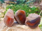 Polished On One Side Red Sashe River Agate Nodules x 20 From Zimbabwe - Toprock Gemstones and Minerals 
