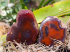 Polished On One Side Red Sashe River Agate Nodules x 20 From Zimbabwe - Toprock Gemstones and Minerals 