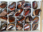 Polished On One Side Red Sashe River Agate Nodules x 20 From Zimbabwe - Toprock Gemstones and Minerals 