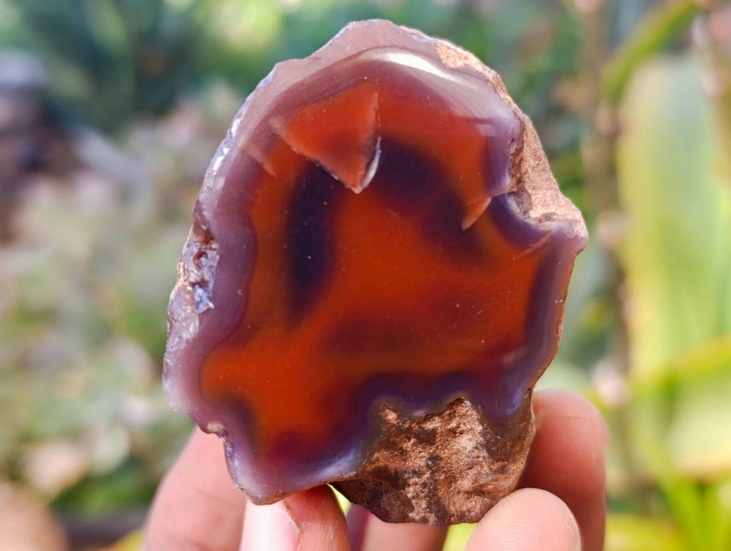 Polished On One Side Red Sashe River Agate Nodules x 20 From Zimbabwe - Toprock Gemstones and Minerals 