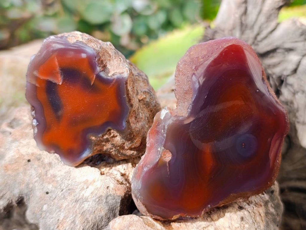Polished On One Side Red Sashe River Agate Nodules x 20 From Zimbabwe - Toprock Gemstones and Minerals 