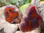 Polished On One Side Red Sashe River Agate Nodules x 20 From Zimbabwe - Toprock Gemstones and Minerals 