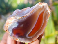 Polished On One Side Red Sashe River Agate Nodules x 20 From Zimbabwe - Toprock Gemstones and Minerals 