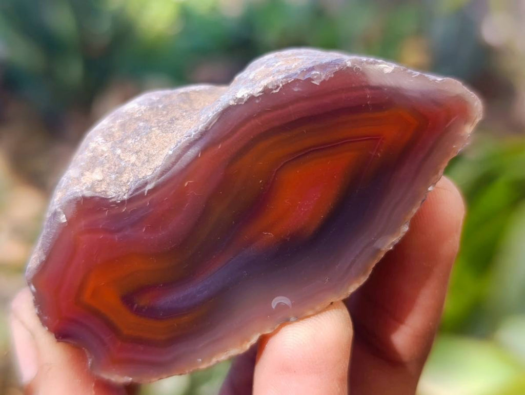 Polished On One Side Red Sashe River Agate Nodules x 20 From Zimbabwe - Toprock Gemstones and Minerals 