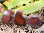 Polished On One Side Red Sashe River Agate Nodules x 20 From Zimbabwe - Toprock Gemstones and Minerals 