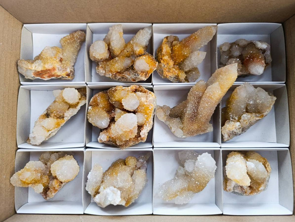 Natural Golden Limonite Coated Fairy Spirit Quartz Clusters x 12 From Boekenhouthoek, South Africa - Toprock Gemstones and Minerals 