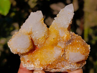 Natural Golden Limonite Coated Fairy Spirit Quartz Clusters x 12 From Boekenhouthoek, South Africa