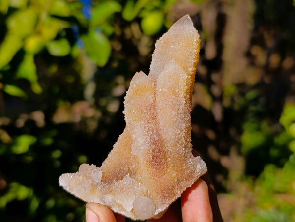 Natural Golden Limonite Coated Fairy Spirit Quartz Clusters x 12 From Boekenhouthoek, South Africa