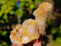Natural Golden Limonite Coated Fairy Spirit Quartz Clusters x 12 From Boekenhouthoek, South Africa