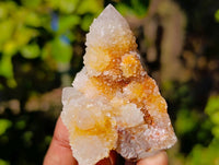 Natural Golden Limonite Coated Fairy Spirit Quartz Clusters x 12 From Boekenhouthoek, South Africa