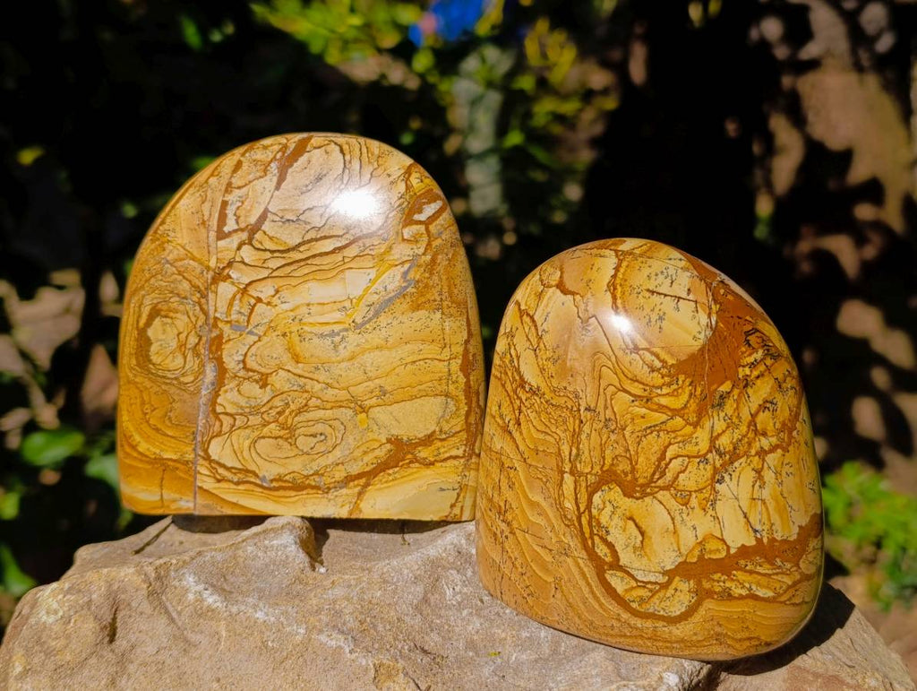 Polished Picture Stone Jasper Standing Free Forms x 2 From Northwest Coast, Madagascar - Toprock Gemstones and Minerals 