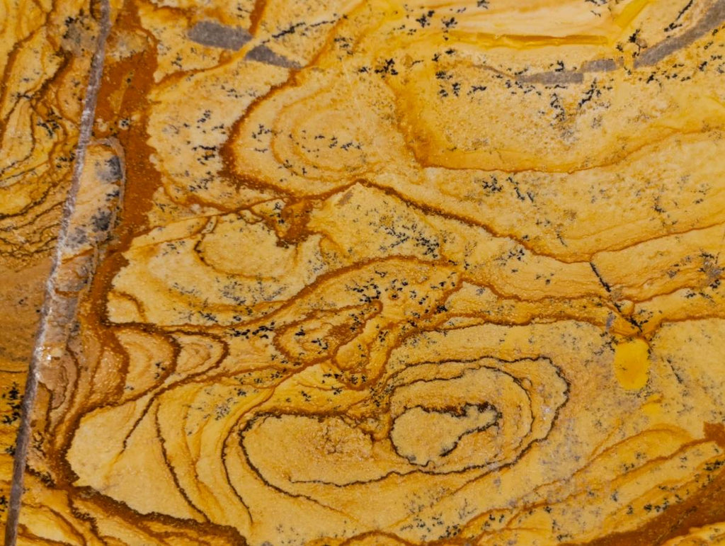 Polished Picture Stone Jasper Standing Free Forms x 2 From Northwest Coast, Madagascar - Toprock Gemstones and Minerals 