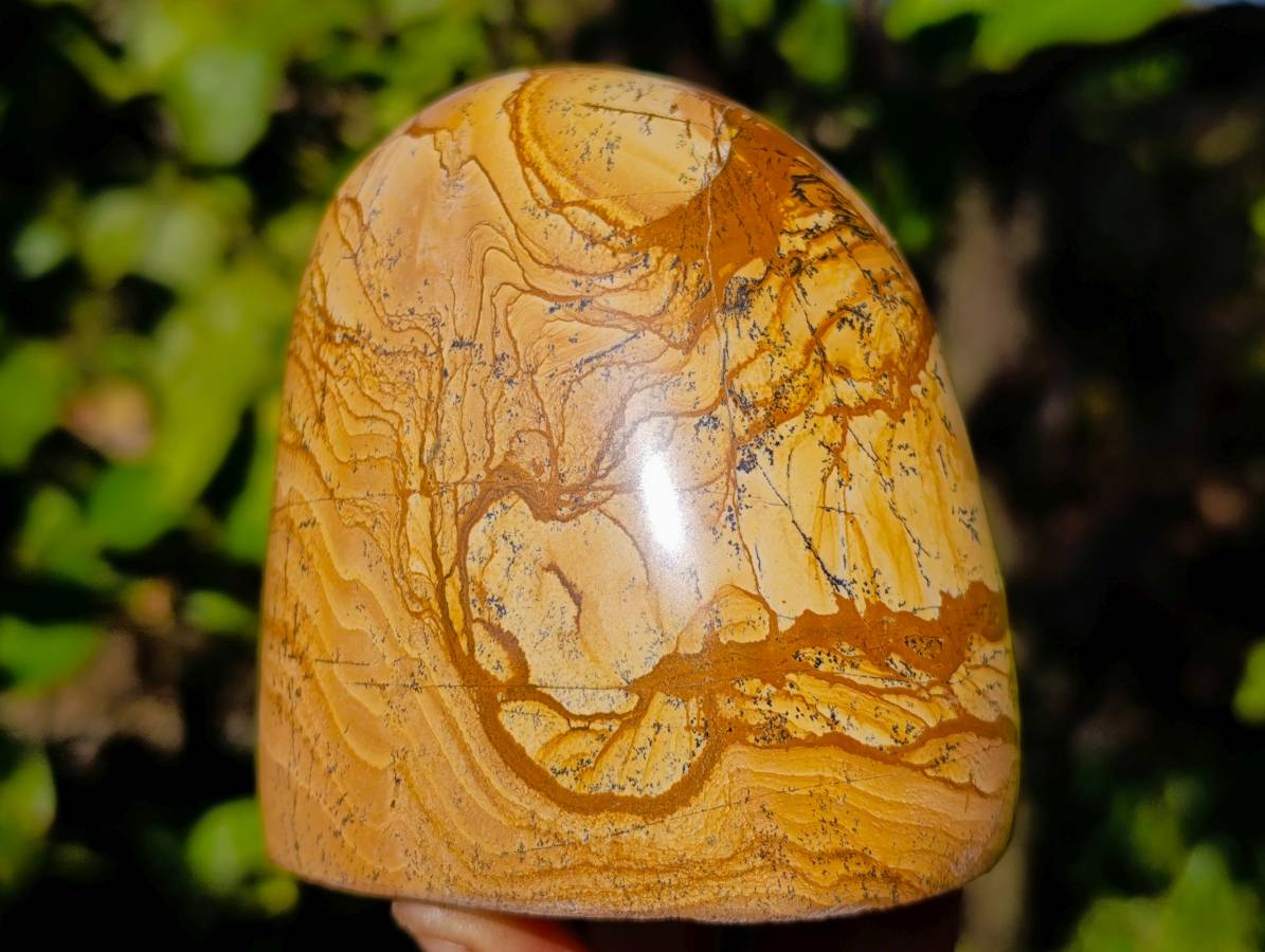 Polished Picture Stone Jasper Standing Free Forms x 2 From Northwest Coast, Madagascar - Toprock Gemstones and Minerals 