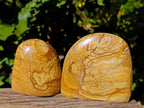Polished Picture Stone Jasper Standing Free Forms x 2 From Northwest Coast, Madagascar - Toprock Gemstones and Minerals 
