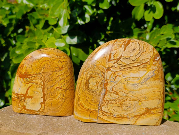 Polished Picture Stone Jasper Standing Free Forms x 2 From Northwest Coast, Madagascar