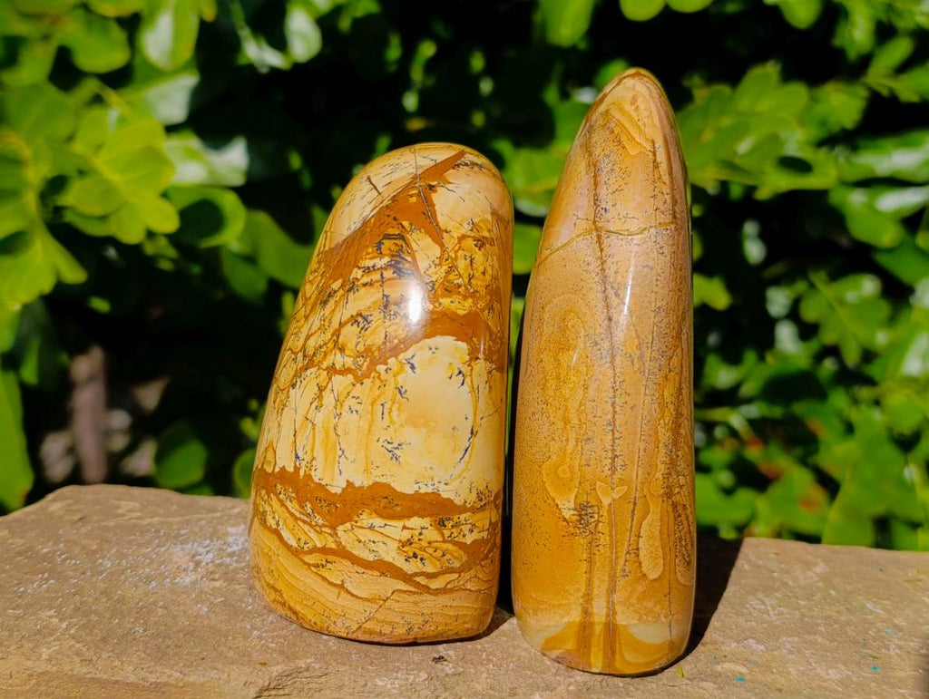 Polished Picture Stone Jasper Standing Free Forms x 2 From Northwest Coast, Madagascar - Toprock Gemstones and Minerals 
