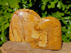 Polished Picture Stone Jasper Standing Free Forms x 2 From Northwest Coast, Madagascar - Toprock Gemstones and Minerals 