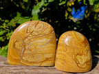 Polished Picture Stone Jasper Standing Free Forms x 2 From Northwest Coast, Madagascar - Toprock Gemstones and Minerals 