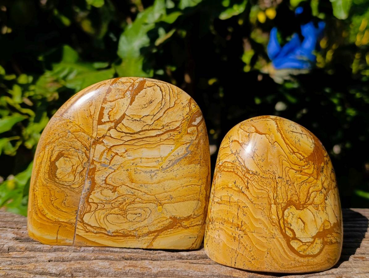 Polished Picture Stone Jasper Standing Free Forms x 2 From Northwest Coast, Madagascar - Toprock Gemstones and Minerals 