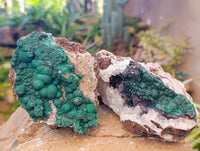Natural Ball Malachite and Drusy Quartz On Dolomite Matrix Specimens x 3 From Kambove, Congo