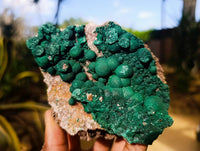 Natural Ball Malachite and Drusy Quartz On Dolomite Matrix Specimens x 3 From Kambove, Congo
