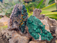 Natural Ball Malachite and Drusy Quartz On Dolomite Matrix Specimens x 3 From Kambove, Congo