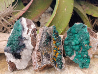 Natural Ball Malachite and Drusy Quartz On Dolomite Matrix Specimens x 3 From Kambove, Congo
