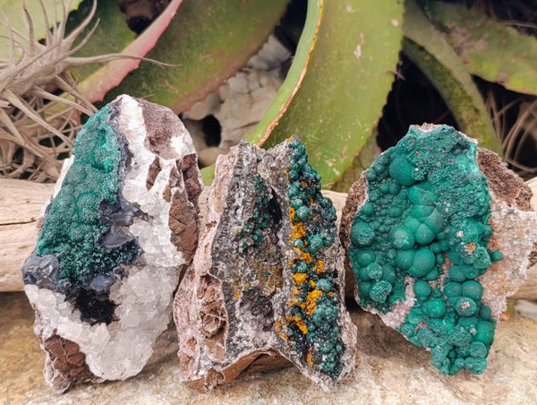 Natural Ball Malachite and Drusy Quartz On Dolomite Matrix Specimens x 3 From Kambove, Congo