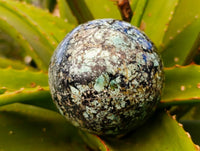 Polished "African Turquoise" Chrysocolla Spheres x 2 From Blue Mine, South Africa