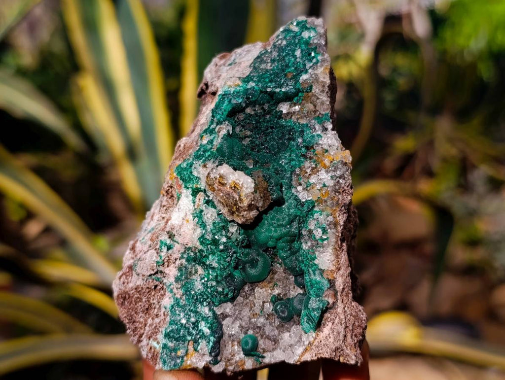 Natural Ball Malachite and Drusy Quartz On Dolomite Matrix Specimens x 2 From Kambove, Congo - Toprock Gemstones and Minerals 