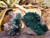 Natural Ball Malachite and Drusy Quartz On Dolomite Matrix Specimens x 2 From Kambove, Congo