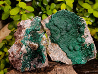 Natural Ball Malachite and Drusy Quartz On Dolomite Matrix Specimens x 2 From Kambove, Congo