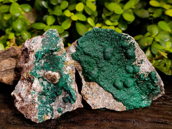 Natural Ball Malachite and Drusy Quartz On Dolomite Matrix Specimens x 2 From Kambove, Congo
