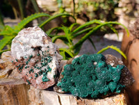 Natural Ball Malachite and Drusy Quartz On Dolomite Matrix Specimens x 6 From Kambove, Congo