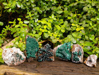 Natural Ball Malachite and Drusy Quartz On Dolomite Matrix Specimens x 6 From Kambove, Congo