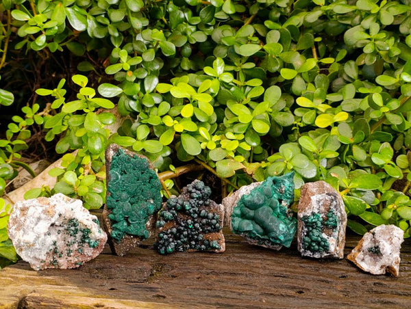 Natural Ball Malachite and Drusy Quartz On Dolomite Matrix Specimens x 6 From Kambove, Congo