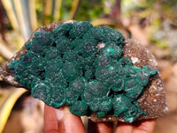 Natural Ball Malachite and Drusy Quartz On Dolomite Matrix Specimens x 6 From Kambove, Congo