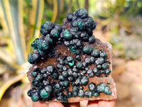 Natural Ball Malachite and Drusy Quartz On Dolomite Matrix Specimens x 6 From Kambove, Congo